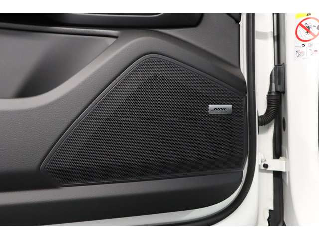 1�I�[�i�[�ő��s������1��km�Ƃ������ꂩ�珊�L����ɂ��o�����X�̎�ꂽ�̂ŁA�p�m���}���[�t���͂��߂Ƃ��邠��Ɗ���������������������Ă���A���i�̈ړ��p�Ƃ��Ă��s�b�^����1��ł������܂��B