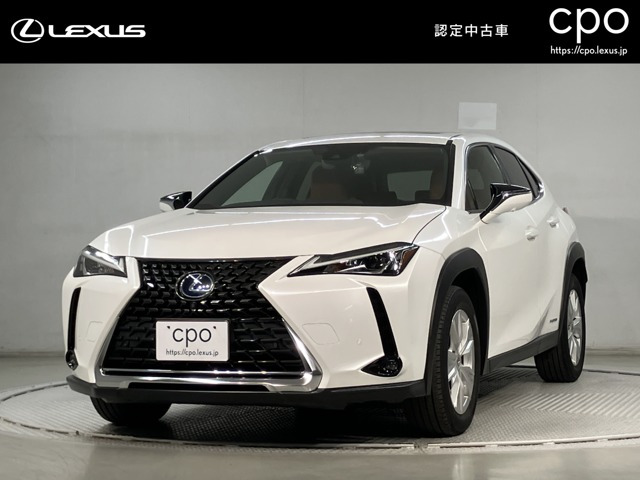 UX250h バージョンC