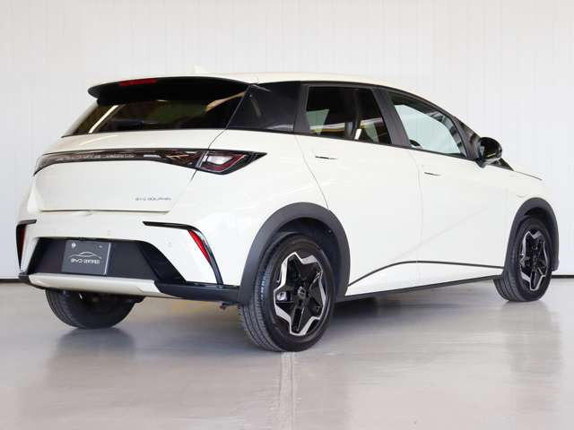 ドルフィンベースライン