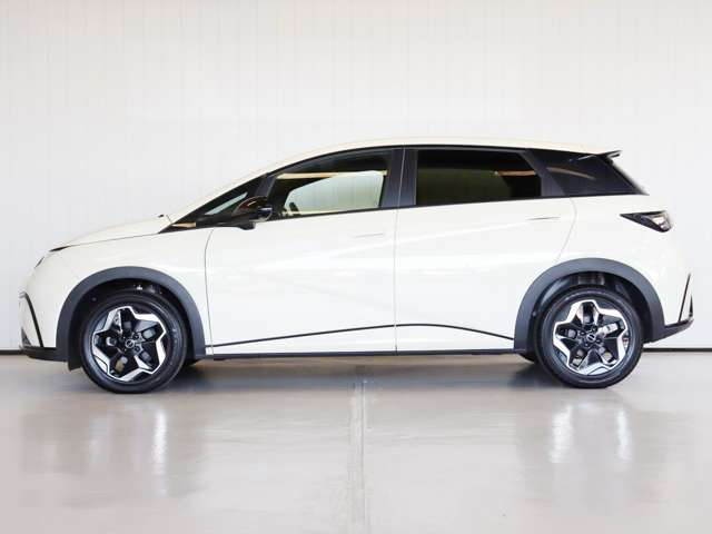 ドルフィンベースライン