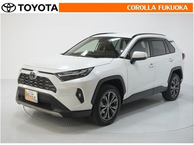 RAV42.5 ハイブリッド G E-Four 4WD