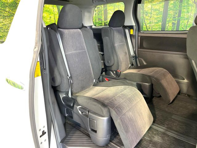 �㕔���Ȃ��C�ɂȂ�悤�ȃL�Y�E�����ւ��蓙�A�傫�ȃ_���[�W�͂Ȃ��A�ǍD�ȏ�Ԃł��B