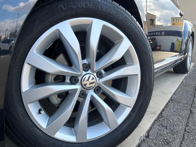 ������17�C���`�A���~�z�C�[��:�A���ԂȂ�ł͂̑�z����������x����z�C�[���Ƒ����ł�!���{�Ԃ̑���Ɋ���Ă�����ɂ����Б̊����Ē��������قǁA�������x���ł܂Ƃ܂��Ă��܂�!