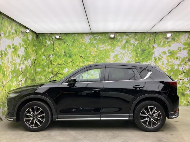CX-52.2 XD
