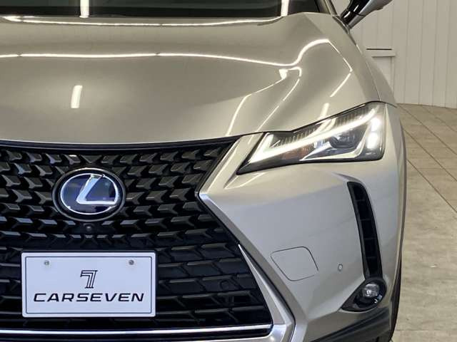 UX250h バージョンC