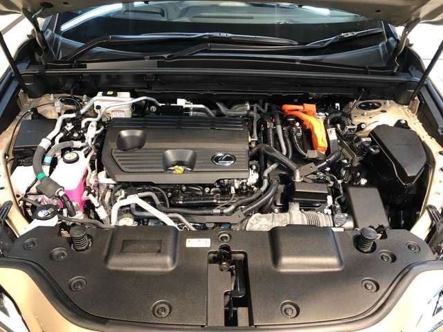 NX450hプラス オーバートレイル 4WD