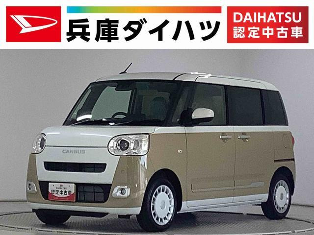 ムーヴキャンバスストライプス G