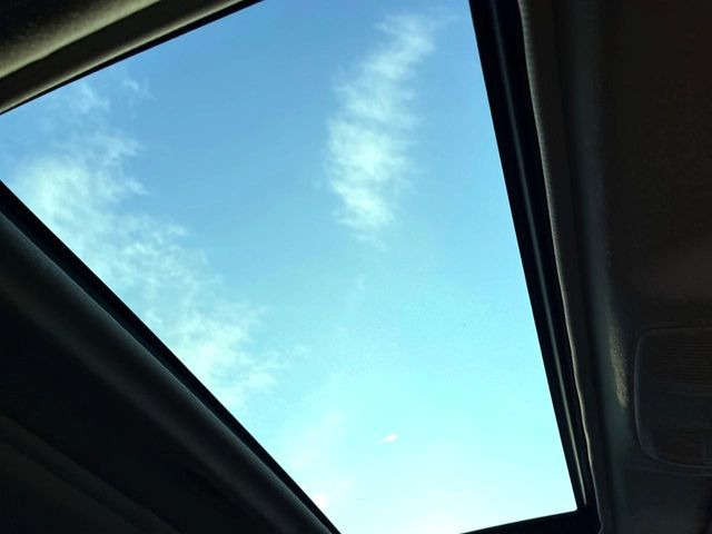 �y�T�����[�t�z�J���������Ղ�̊󏭑����A�T�����[�t����������Ă��܂�!�ԓ��ɖ�����������ꂽ��i�F���y���ވȊO�ɂ��A�ԓ��̋�C���ȒP�Ɋ��C�ł��ĉ��K�ł�!