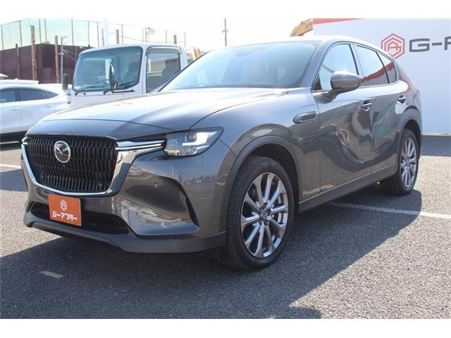 ���Ǝҗl�ւ̔̔��͂��f�肳���Ă��������܂��B �Ԍ������ԗ��̏ꍇ�́A�Ԍ����擾�������x�������z�ŕ\�����Ă���܂��B