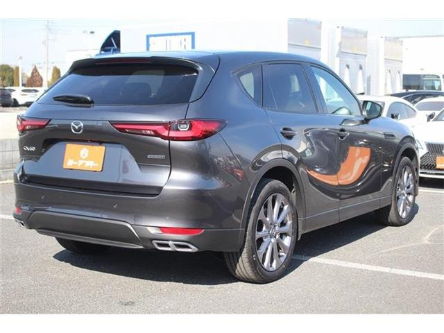 ���Ǝҗl�ւ̔̔��͂��f�肳���Ă��������܂��B �Ԍ������ԗ��̏ꍇ�́A�Ԍ����擾�������x�������z�ŕ\�����Ă���܂��B