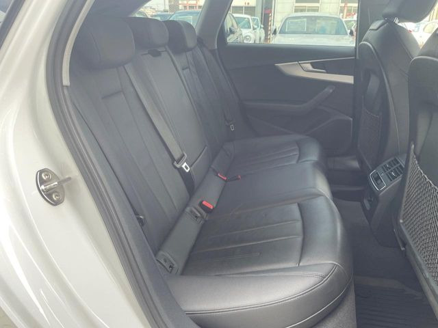 ���㕔���Ȃ��C�ɂȂ�悤�ȃL�Y�E�����ւ��蓙�A�傫�ȃ_���[�W�͂Ȃ��A�ǍD�ȏ�Ԃł��B