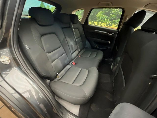 �㕔���Ȃ��C�ɂȂ�悤�ȃL�Y�E�����ւ��蓙�A�傫�ȃ_���[�W�͂Ȃ��A�ǍD�ȏ�Ԃł��B