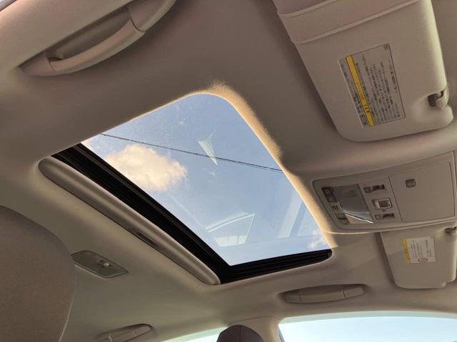 �y�T�����[�t�z�J���������Ղ�̊󏭑����A�T�����[�t����������Ă��܂�!�ԓ��ɖ�����������ꂽ��i�F���y���ވȊO�ɂ��A�ԓ��̋�C���ȒP�Ɋ��C�ł��ĉ��K�ł�!