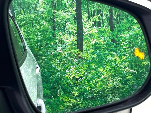 �y�u���C���h�X�|�b�g���j�^�[�z���s���A�h�A�~���[�̎��p�ɂȂ�₷���ӏ��Ɍ㑱�Ԃ��ڋ߂���ƃT�C�h�~���[�̃����Y�Ɍx����\��!�h���C�o�[�ɒ��ӊ��N�����Ă���܂��B