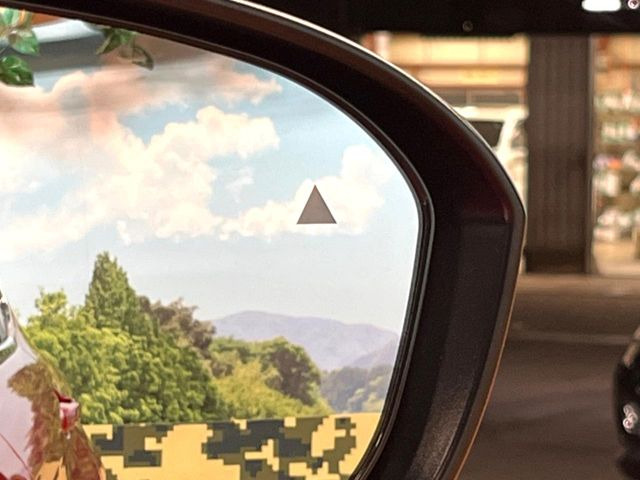 �y�u���C���h�X�|�b�g���[�j���O�z���s���A�h�A�~���[�̎��p�ɂȂ�₷���ӏ��Ɍ㑱�Ԃ��ڋ߂���ƃT�C�h�~���[�t�߂Ɍx����\���A�h���C�o�[�ɒ��ӊ��N�����Ă���܂��B