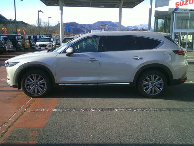 �C���e���A�́A���ׂĂ̏�����S�n�悳�ƓK�x�ȋْ��������\�ł����ԂÂ���ɒ��́B�f�ނ̑I����F���ɋᖡ���d�ˁA�����݂Ǝg�����ނقǂɖ��킢���[�܂�悤�Ȗ{���̑f�ނƂ��Ė{�ۃp�l����i�b�p���U�[���̗p