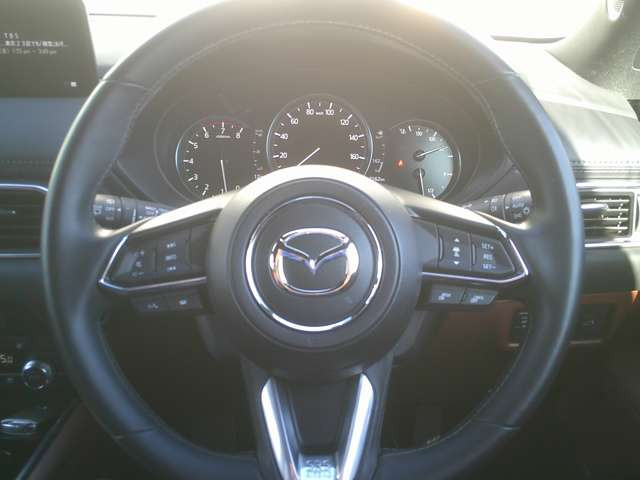 ���{�v���X�e�A�����O�������Ƃ�Ǝ�ɓ���ޖ{�v�Ȃ�ł͂̊��G!�m���ȑ��슴!