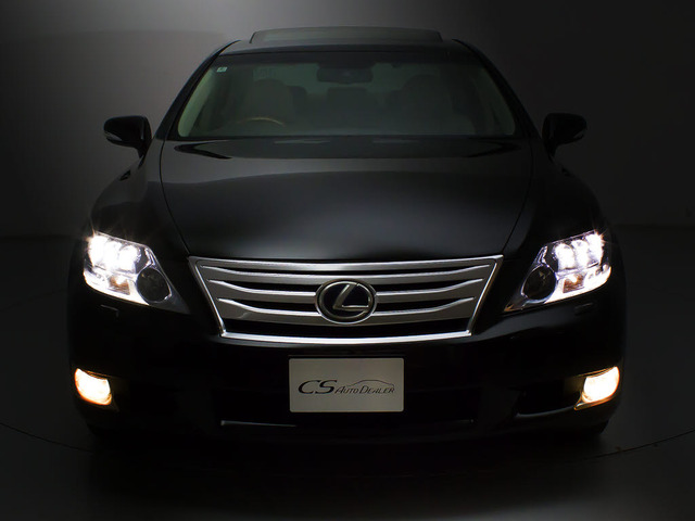 �t�����g�r���[�̑��݊���������������!!�w�b�h���C�g�͎��E�ǍD�̃��C�g�A����Ƀt�H�O���C�g���ځB�f�U�C�����������̂������ł��B