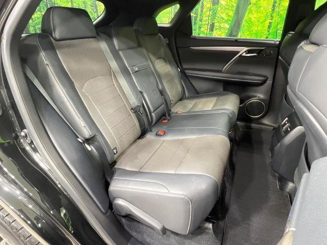 �㕔���Ȃ��C�ɂȂ�悤�ȃL�Y�E�����ւ��蓙�A�傫�ȃ_���[�W�͂Ȃ��A�ǍD�ȏ�Ԃł��B