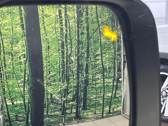 �y�u���C���h�X�|�b�g���[�j���O�z���s���A�h�A�~���[�̎��p�ɂȂ�₷���ӏ��Ɍ㑱�Ԃ��ڋ߂���ƃT�C�h�~���[�t�߂Ɍx����\���A�h���C�o�[�ɒ��ӊ��N�����Ă���܂��B