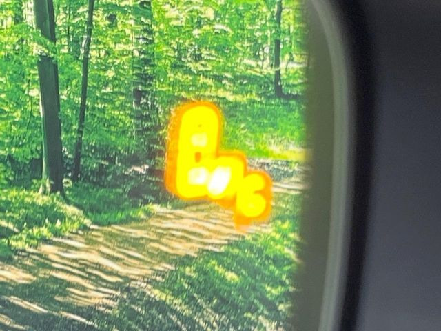 �y�u���C���h�X�|�b�g���j�^�[�z���s���A�h�A�~���[�̎��p�ɂȂ�₷���ӏ��Ɍ㑱�Ԃ��ڋ߂���ƃT�C�h�~���[�̃����Y�Ɍx����\��!�h���C�o�[�ɒ��ӊ��N�����Ă���܂��B