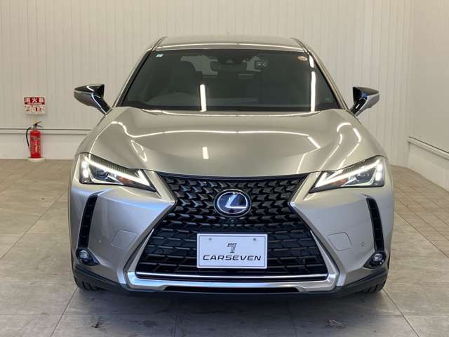 UX250h バージョンC