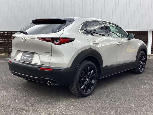 CX-301.8 XD レトロスポーツエディション
