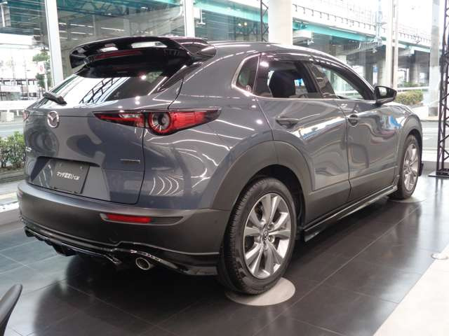 CX-301.8 XD プロアクティブ ツーリングセレクション