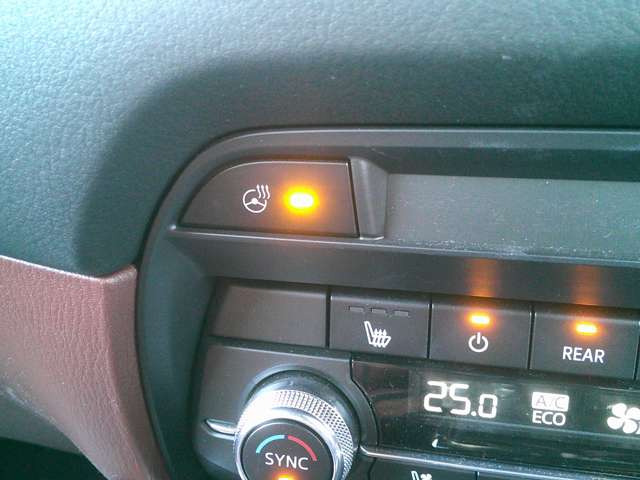 ��360&deg;�r���[���j�^�[���N���}��^�ォ�猩���낵�Ă��邩�̂悤�ȉf���ɂ���ĎԌɓ����c�񒓎ԂȂǂ̒��Ԏ��Ɏ��Ԃƒ��Ԉʒu�̊֌W���ЂƖڂŊm�F�ł��X���[�X�Ȓ��Ԃ��T�|�[�g���܂�!