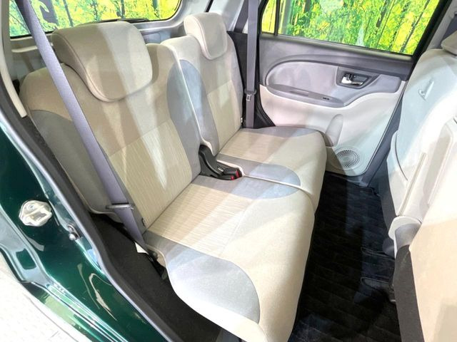 �㕔���Ȃ��C�ɂȂ�悤�ȃL�Y�E�����ւ��蓙�A�傫�ȃ_���[�W�͂Ȃ��A�ǍD�ȏ�Ԃł��B