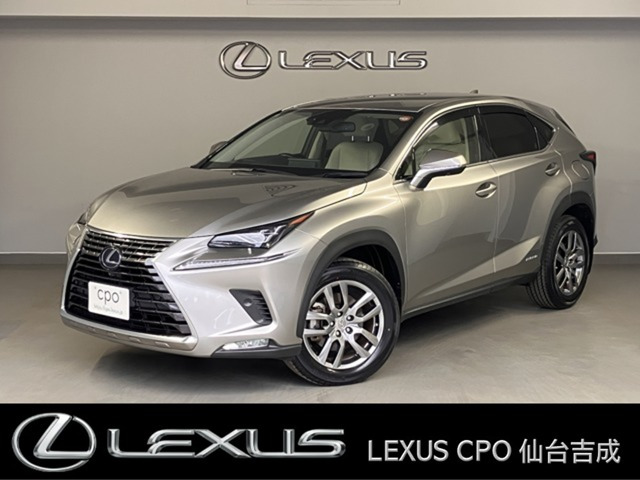 NX300h バージョンL 4WD