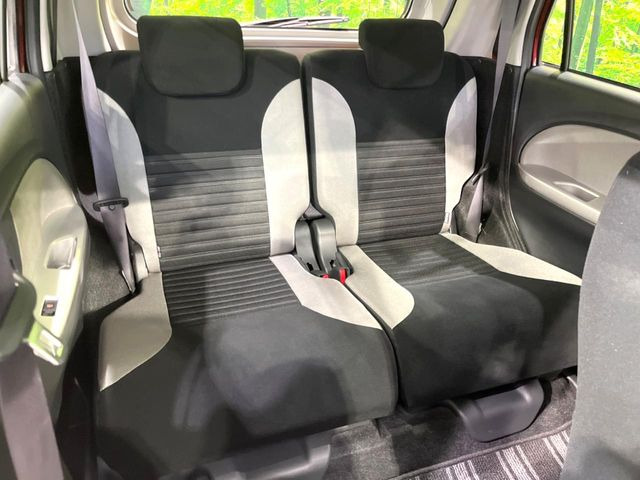 �㕔���Ȃ��C�ɂȂ�悤�ȃL�Y�E�����ւ��蓙�A�傫�ȃ_���[�W�͂Ȃ��A�ǍD�ȏ�Ԃł��B