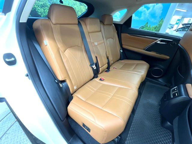 �㕔���Ȃ��C�ɂȂ�悤�ȃL�Y�E�����ւ��蓙�A�傫�ȃ_���[�W�͂Ȃ��A�ǍD�ȏ�Ԃł��B