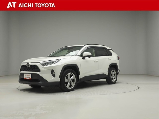 RAV42.0 X