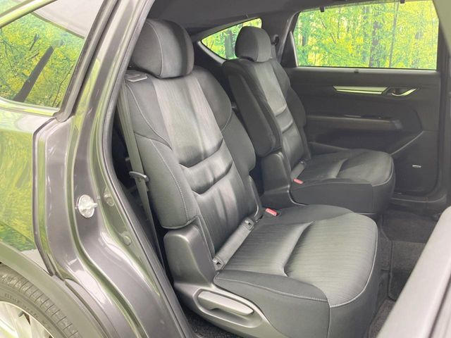 �㕔���Ȃ��C�ɂȂ�悤�ȃL�Y�E�����ւ��蓙�A�傫�ȃ_���[�W�͂Ȃ��A�ǍD�ȏ�Ԃł��B