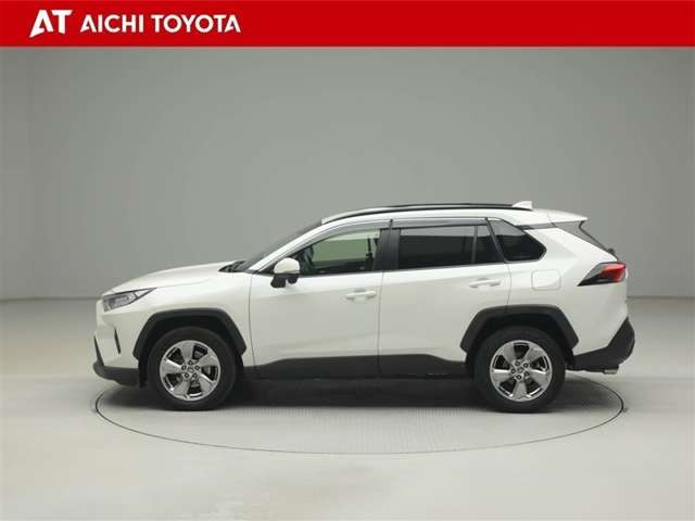 RAV42.0 X