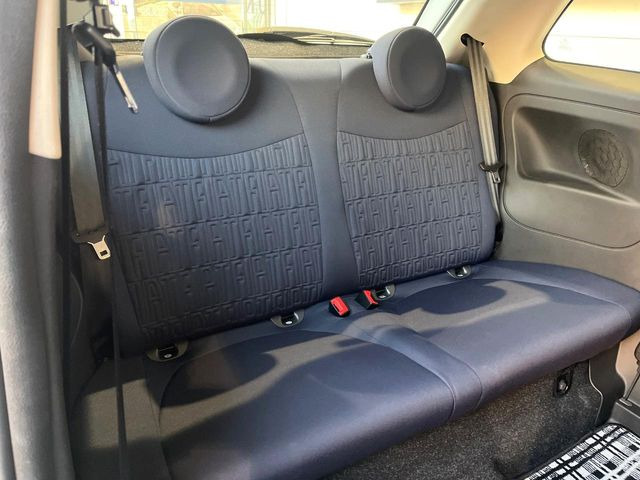 ���㕔���Ȃ��C�ɂȂ�悤�ȃL�Y�E�����ւ��蓙�A�傫�ȃ_���[�W�͂Ȃ��A�ǍD�ȏ�Ԃł��B