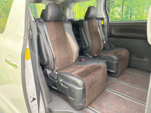 �㕔���Ȃ��C�ɂȂ�悤�ȃL�Y�E�����ւ��蓙�A�傫�ȃ_���[�W�͂Ȃ��A�ǍD�ȏ�Ԃł��B