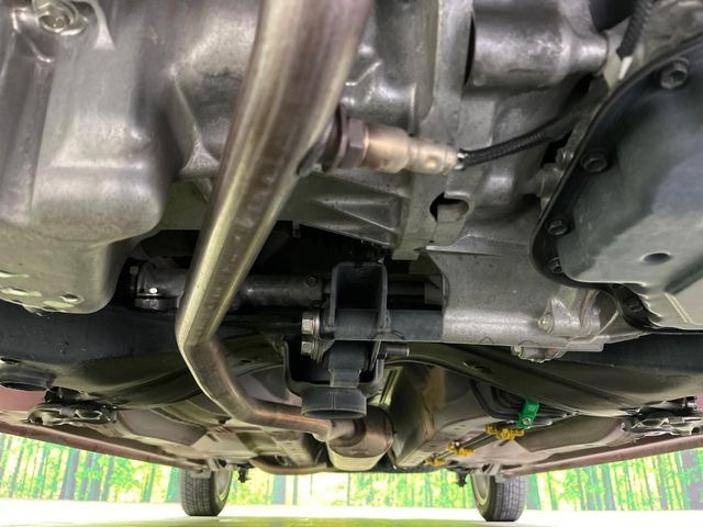 ����肪���ꂢ�Ȃ����ɁA�h�K���H�̎{�H���I�X�X���B�~��n��͂������A���ݕ��ɂ��Z���̕���A��Ń}�����E�E�B���^�[�X�|�[�c���������ɂ��D�]���������Ă���܂��B