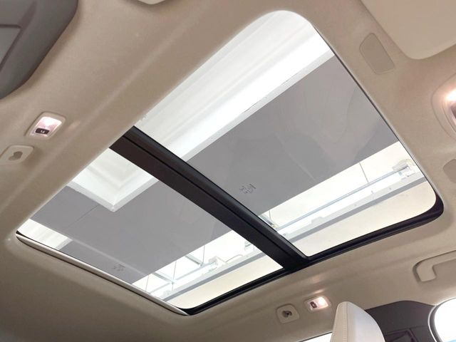 ���p�m���}�~�b�N�K���X���[�t:�唗�͂̃p�m���}���[�t�́A�㕔���Ȃɂ܂ő����Ă���A�J���I�ȋ�Ԃ����y���݂��������܂��B