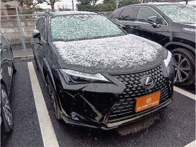 UX(レクサス) 200 アーバン エレガンス　禁煙車 純正10.3インチナビ フルセグTV 中古車画像
