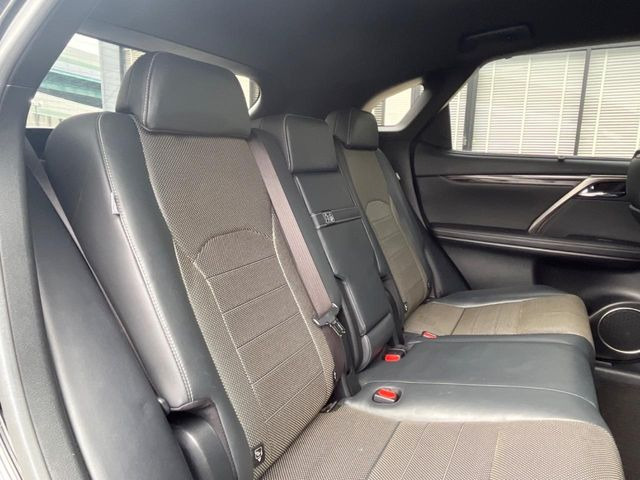 �㕔���Ȃ��C�ɂȂ�悤�ȃL�Y�E�����ւ��蓙�A�傫�ȃ_���[�W�͂Ȃ��A�ǍD�ȏ�Ԃł��B