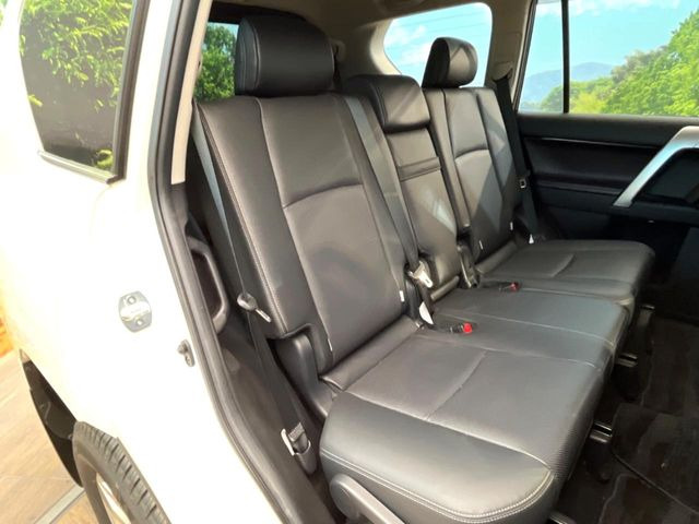 �㕔���Ȃ��C�ɂȂ�悤�ȃL�Y�E�����ւ��蓙�A�傫�ȃ_���[�W�͂Ȃ��A�ǍD�ȏ�Ԃł��B