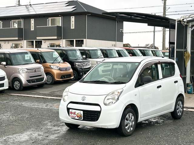 �y39.8���X�J�[�Y�̎��q���������������A���ɂ��肪�Ƃ��������܂��B���������S�s���c1186-7TEL:0942-73-6060�܂ł��⍇����������