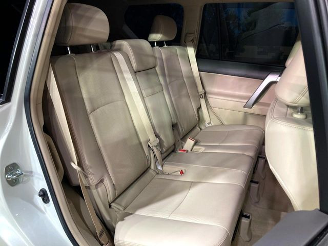 �㕔���Ȃ��C�ɂȂ�悤�ȃL�Y�E�����ւ��蓙�A�傫�ȃ_���[�W�͂Ȃ��A�ǍD�ȏ�Ԃł��B