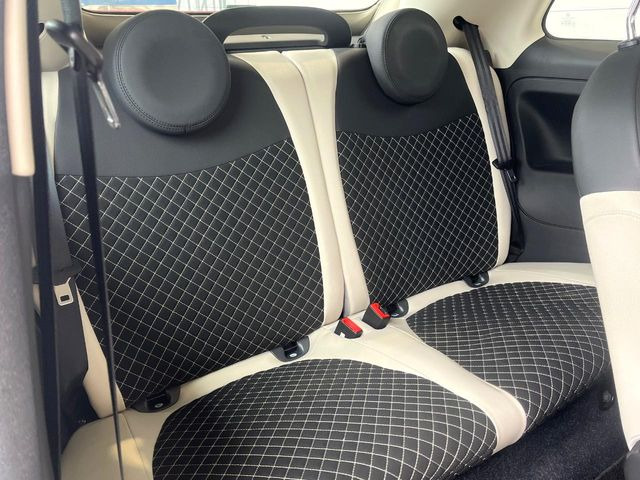 ���㕔���Ȃ��C�ɂȂ�悤�ȃL�Y�E�����ւ��蓙�A�傫�ȃ_���[�W�͂Ȃ��A�ǍD�ȏ�Ԃł��B