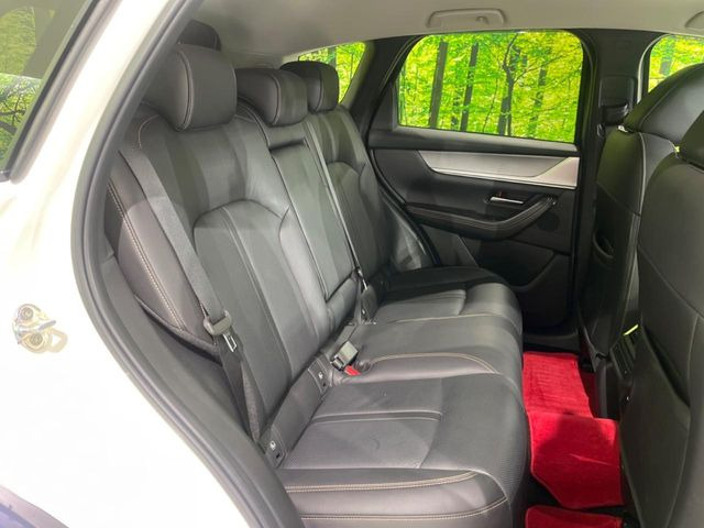 �㕔���Ȃ��C�ɂȂ�悤�ȃL�Y�E�����ւ��蓙�A�傫�ȃ_���[�W�͂Ȃ��A�ǍD�ȏ�Ԃł��B