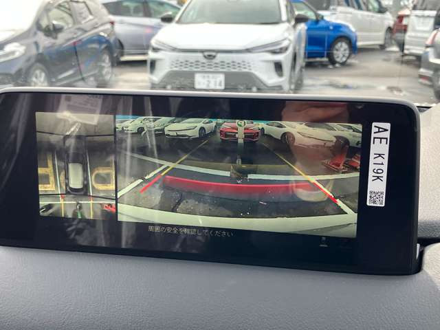 360&deg;�r���[���j�^�[�t���B����Œ��Ԃ̋��ȕ������S�ł��B