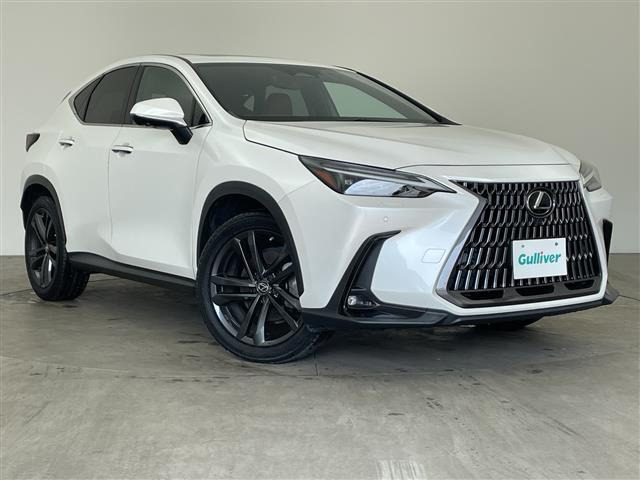 NX250 バージョンL