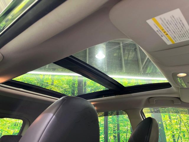 �y�T�����[�t�z�J���������Ղ�̊󏭑����A�T�����[�t����������Ă��܂�!�ԓ��ɖ�����������ꂽ��i�F���y���ވȊO�ɂ��A�ԓ��̋�C���ȒP�Ɋ��C�ł��ĉ��K�ł�!